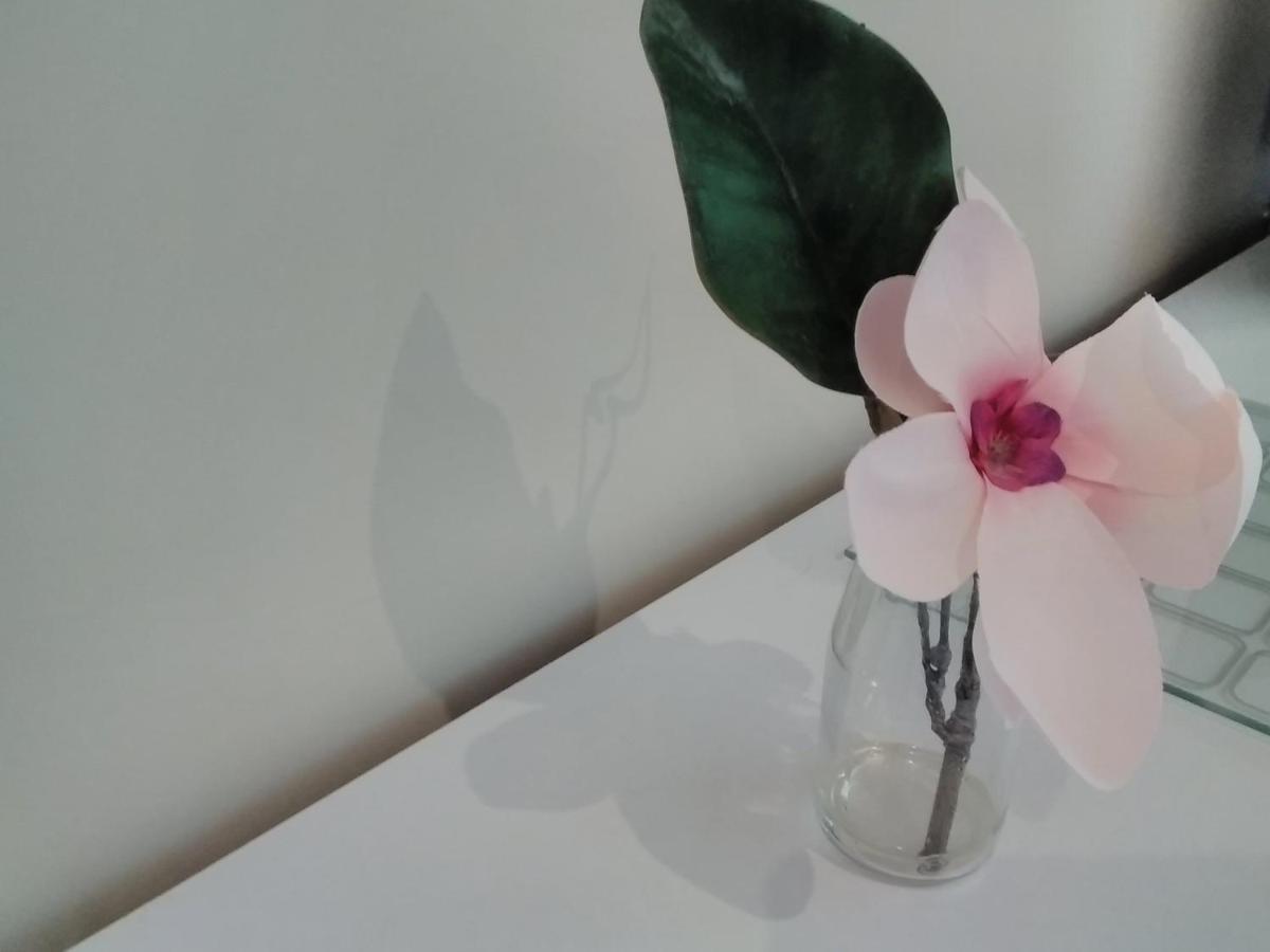 Windermere Studio Rooms - With Free Car Parking Onsite Екстериор снимка